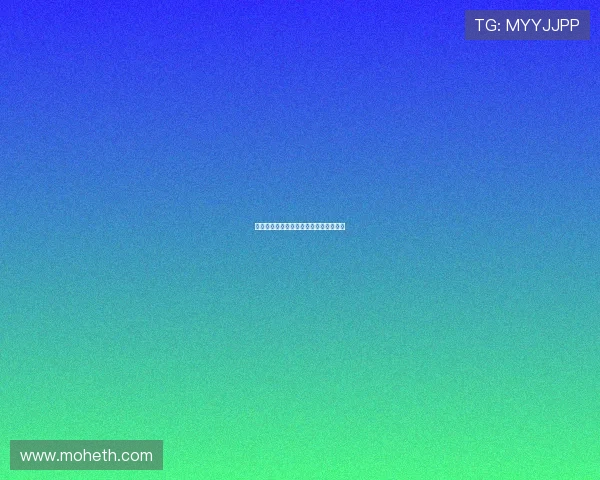 甜蜜十一月：邂逅暖意，品味生活的美好