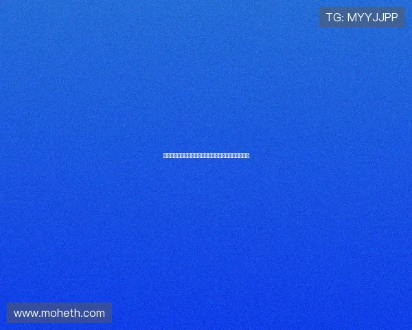 穿越时空的味蕾探险：中西里菜全集，一段舌尖上的传奇